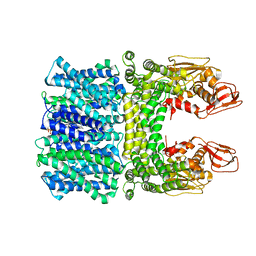 BU of 8jd9 by Molmil