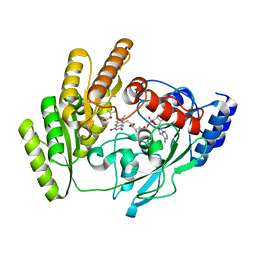 BU of 8jdp by Molmil