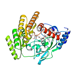 BU of 8jdr by Molmil