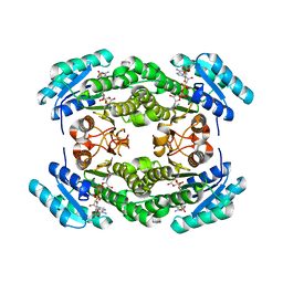 BU of 8jfa by Molmil