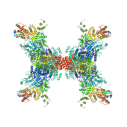 BU of 8jfl by Molmil