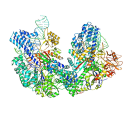 BU of 8jg9 by Molmil