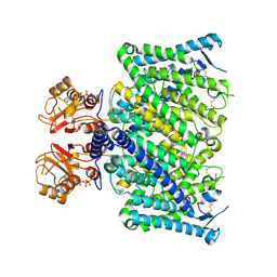 BU of 8jgv by Molmil