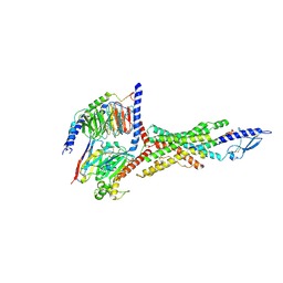 BU of 8jit by Molmil