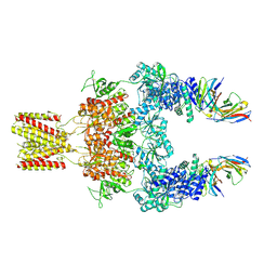 BU of 8jj1 by Molmil