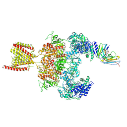 BU of 8jj2 by Molmil