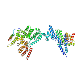 BU of 8jj6 by Molmil