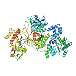 8jkz - Cryo-EM structure of the prokaryotic SPARSA system complex