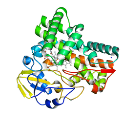 BU of 8jnq by Molmil