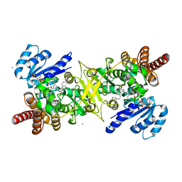 AU of 8jnw by Molmil