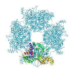 BU of 8jpw by Molmil