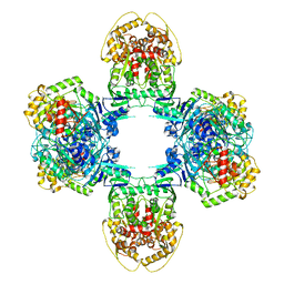 BU of 8jqb by Molmil