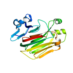 BU of 8jsd by Molmil