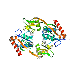 AU of 8juk by Molmil