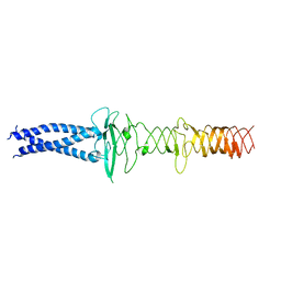 AU of 8jvm by Molmil