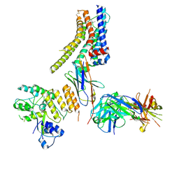 BU of 8jxr by Molmil