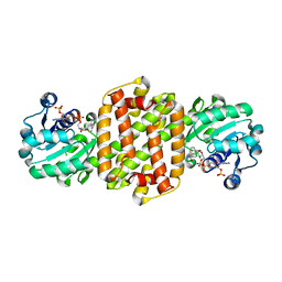 BU of 8jyt by Molmil