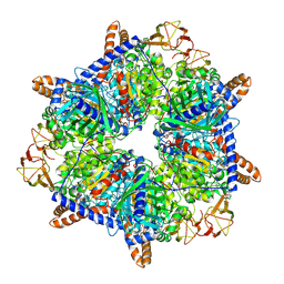 BU of 8k2v by Molmil