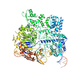 BU of 8kaj by Molmil