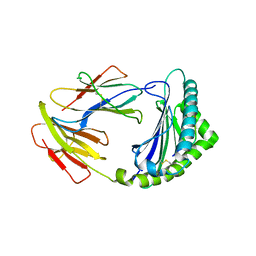 BU of 8kb0 by Molmil