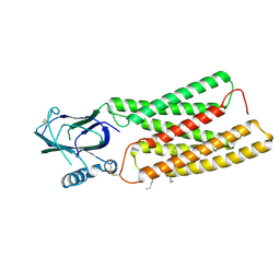 BU of 8kb4 by Molmil