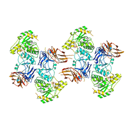 BU of 8kb7 by Molmil