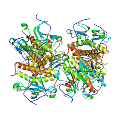 AU of 8kbc by Molmil