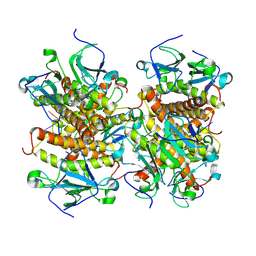 BU of 8kbd by Molmil