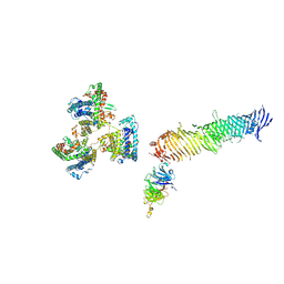 BU of 8kc3 by Molmil