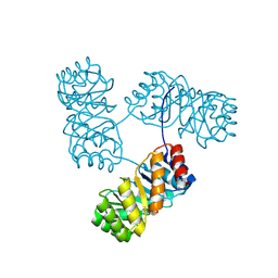 BU of 8kc8 by Molmil