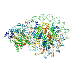 BU of 8kcb by Molmil