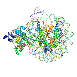 AU of 8kcc by Molmil