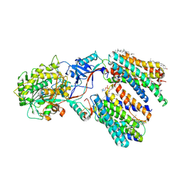 BU of 8kcp by Molmil