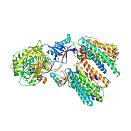 BU of 8kcs by Molmil