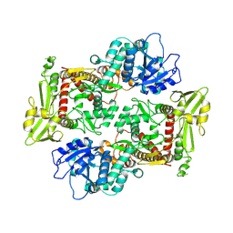 BU of 8kgp by Molmil