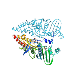 BU of 8kgt by Molmil