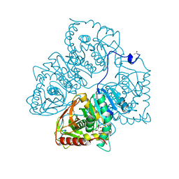 BU of 8ldh by Molmil