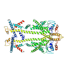 BU of 8odu by Molmil