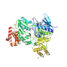 BU of 8odw by Molmil