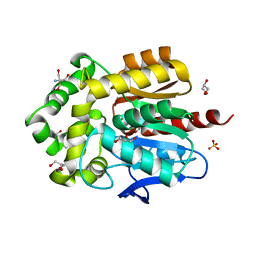 BU of 8oe2 by Molmil