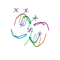 BU of 8oe3 by Molmil