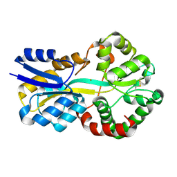 BU of 8oem by Molmil