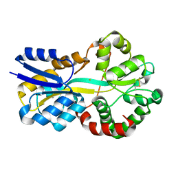 AU of 8oen by Molmil