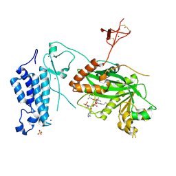 BU of 8og2 by Molmil