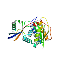BU of 8oi3 by Molmil