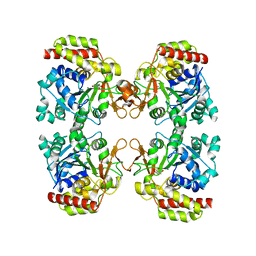 BU of 8oic by Molmil