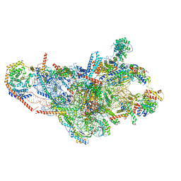 BU of 8oip by Molmil