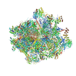 BU of 8oir by Molmil