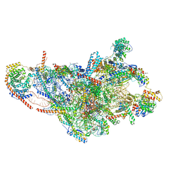 BU of 8ois by Molmil