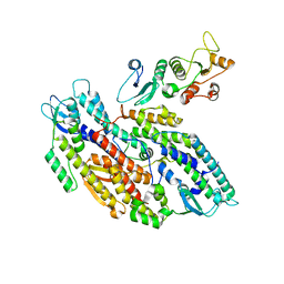 BU of 8ok2 by Molmil